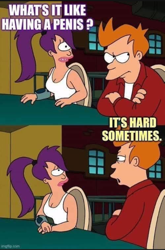 Leela: What's it like having a penis?

Fry: It's hard sometimes.