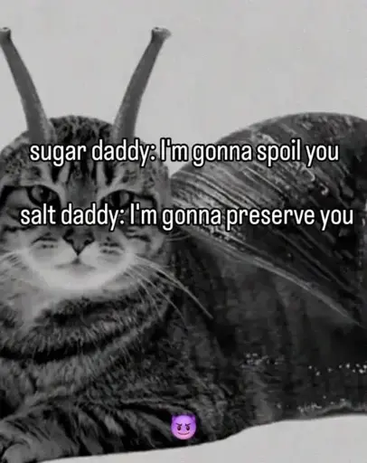 sugar daddy: I'm gonna spoil you; salt daddy: I'm gonna preserve you